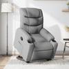VidaXL Recliner, Relaxation Chair with Adjustable Backrest and Footrest, Living Room Seat, 3206645