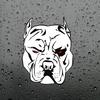 JuYouHui Exterior Accessories Decal Cool Angry Pitbull Decals Waterproof for Car Laptop Guitar Scooter Notebook Stickers
