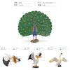 Peafowl Pvc Model With Realistic Detailing For Kids Educational Desktop Decor