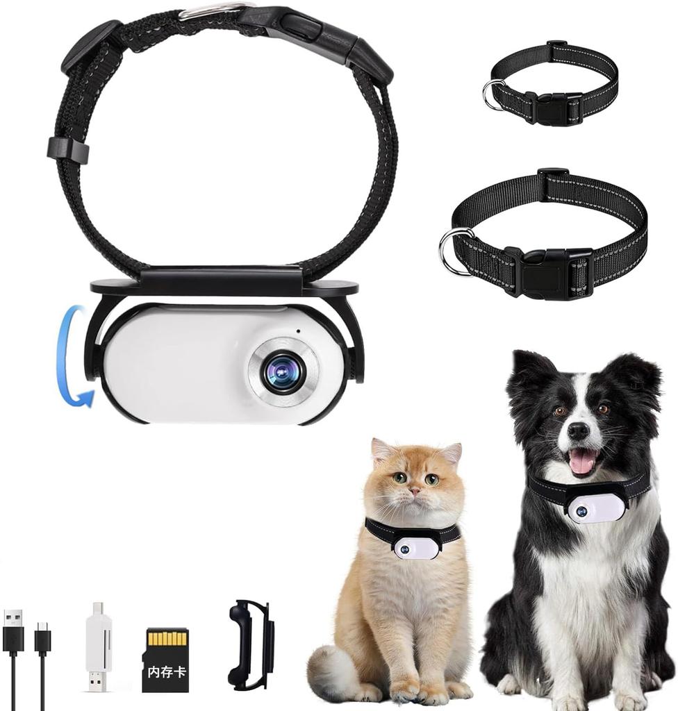 Animal Collar Camera 1920x1080P Resolution Photo Video Double Seize Location Observer Constructed In 32GB Card OTG Function