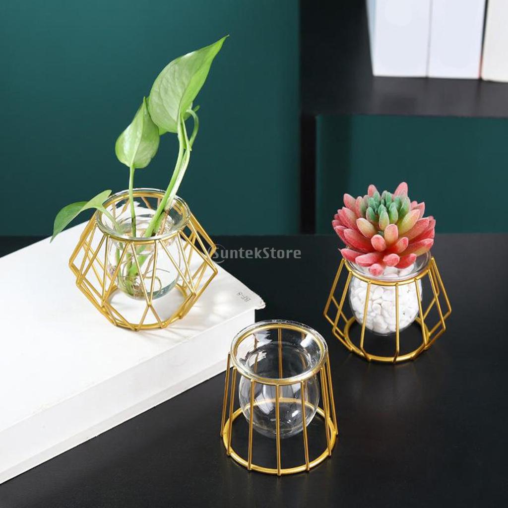 Metal Wire 3D Geometric Hydroponics Vase Holder Watering Planter Flower Pots Test Tube Vase Plants Home Desktop Table Decor