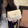 2025 Trendy Women's Crossbody Handbag - Spring/Summer Versatile Small Square Shoulder Bag