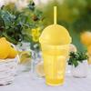 Plastic Cup with Straw Lid for Drinking Water and Beverages 450 ml
