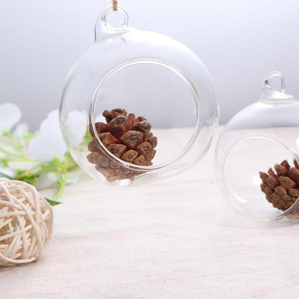6pcs Glass Ball Shaped Flower Plant Tabletop Vases Bowl Container Decor 6pcs Glass Ball Shaped Flower Plant Tabletop Vases Bowl Container Decor