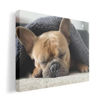 Decorazioni per la casa – Foto e poster