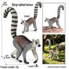 Realistic Animal Heart Model Toy: Lemur, Raccoon, Orangutan, Baboon