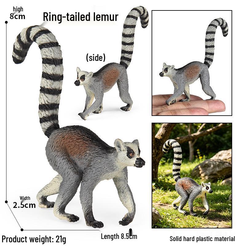 Realistic Animal Heart Model Toy: Lemur, Raccoon, Orangutan, Baboon