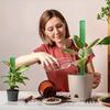 2 Plastic Moss Poles Plant Stakes for Indoor Plants Moss Poles for Monstra Plants and Water Moss Poles
