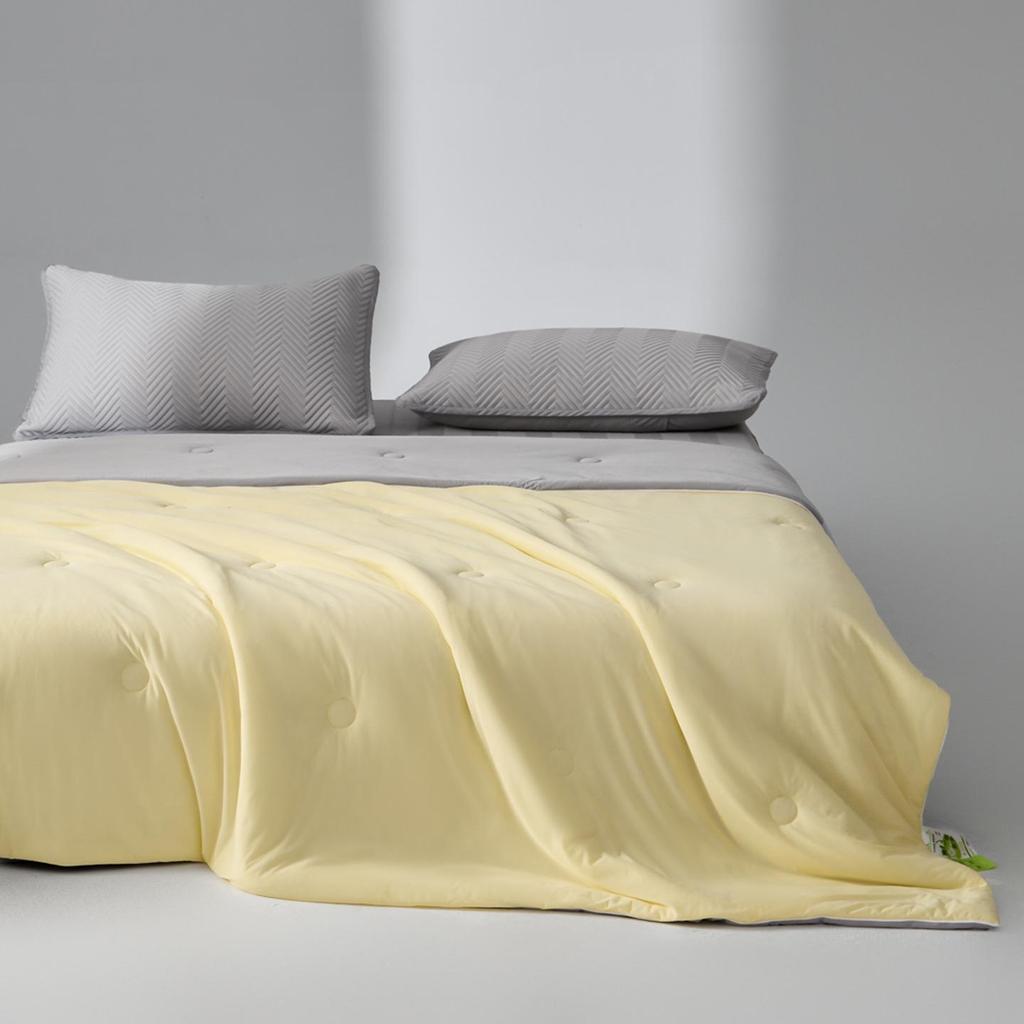 Premium Double-Sided Cool-Touch Antibacterial Ice Silk Summer Quilt