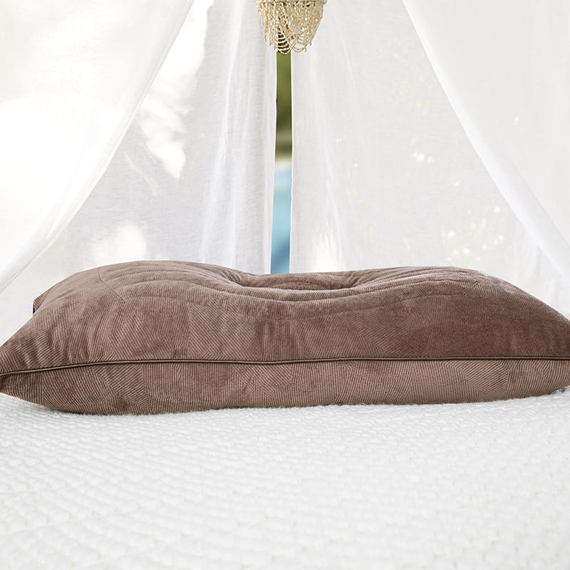 Cassia Pillow Magnet Pillow Core Feather Cotton Pillow Buckwheat Flowers and Plants Health Care Neck Pillow Core Head
