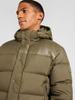 Winter Jacket Tommy Hilfiger Hooded Down Puffer Jacket (MW0MW36569) Army Green
