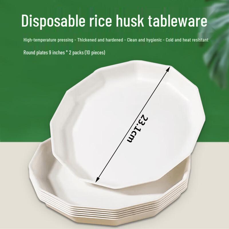 Homeglen Rice Husk Disposable Plates