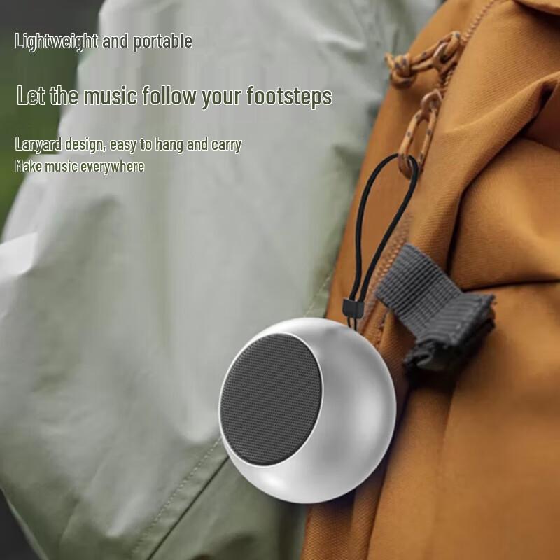 Sayrelances Portable Bluetooth Speaker Subwoofer DZ-017 CN plug (adapter included) (CN version)