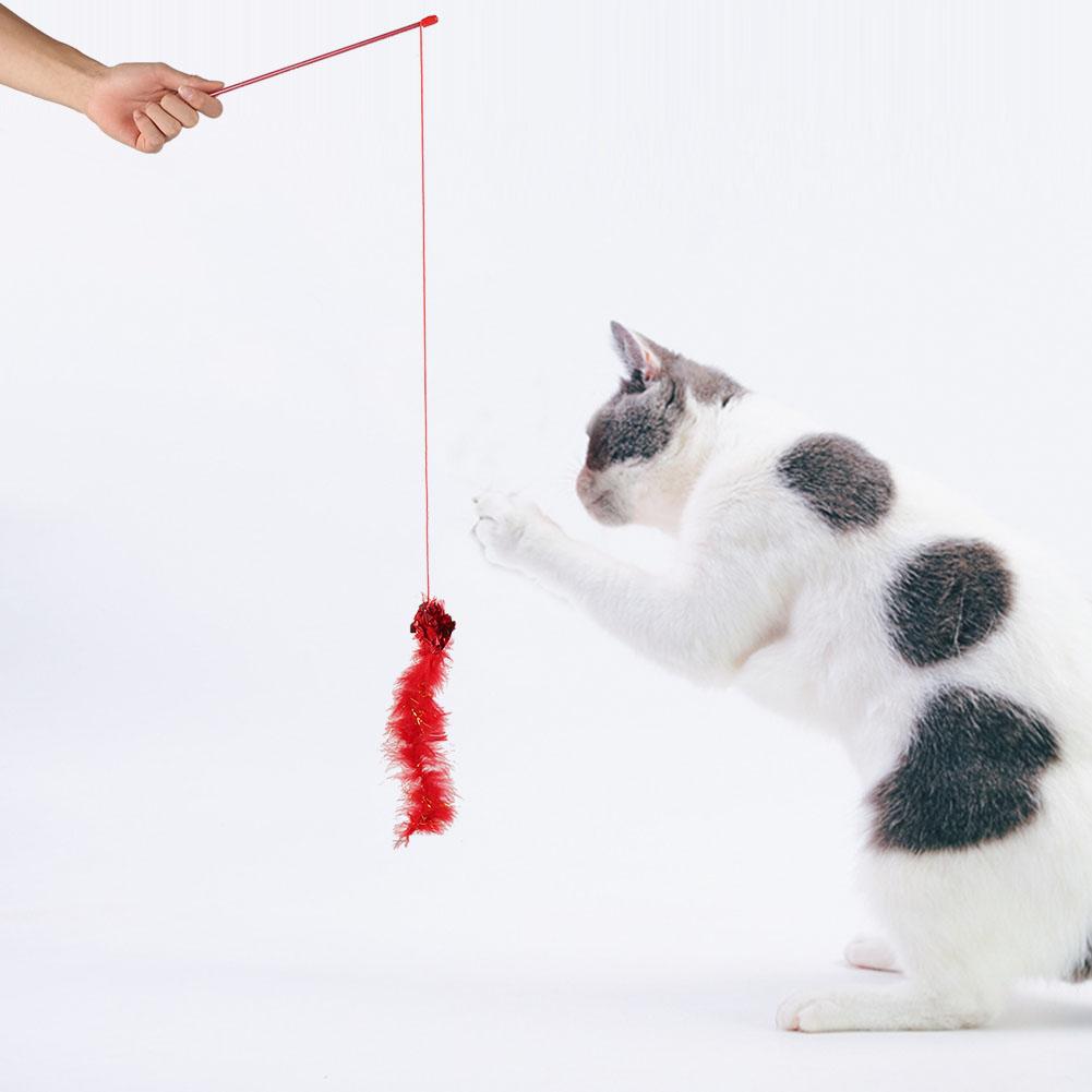 cat chaser toy