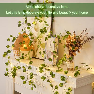 Illuminazione – Decorazioni luminose