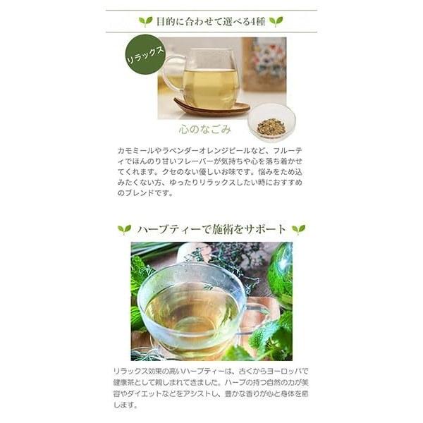 WJB Organic Herbal Tea SK 2g10 packs supports from within skin.
