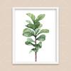 Bohemian Watercolor Tropical Plant Canvas Painting Monstera Banana Leaf Eucalyptus and Fern Art Posters Aesthetic Bedroom Decor