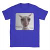 Funny James Cat Meme Pure Cotton T-Shirt For Man Summer Cute  Classic T Shirts Round Neck Harajuku Tee Shirt Oversized Loose