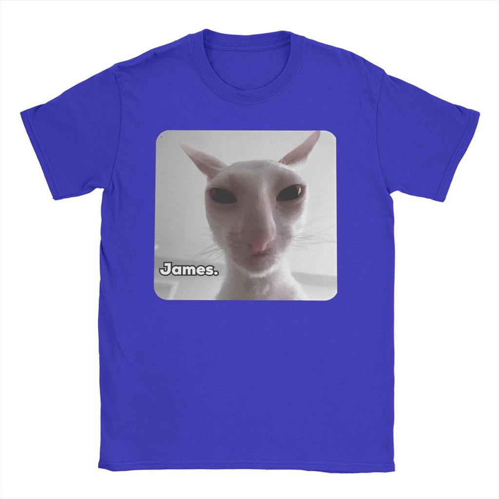 Funny James Cat Meme Pure Cotton T-Shirt For Man Summer Cute Classic T Shirts Round Neck Harajuku Tee Shirt Oversized Loose
