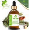 Pure Herbs Black Spruce 100% Pure & Natural Picea Mariana Essential Oil ZA 240