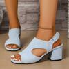 2025 Summer Fashion New Women's Casual Sandals Open Toe Shallow Breathable Roman Style Slip On High Heels Cool Pumps