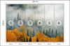 Photomural Fog Over Autumn Forest Smooth Vinyl 520x318