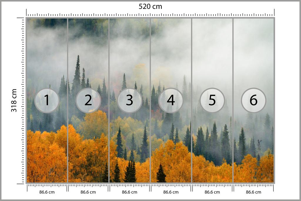 Photomural Fog Over Autumn Forest Smooth Vinyl 520x318