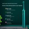 BAIR G1 Smart Sonic Electric Toothbrush Couple Set CN plug (adapter included)