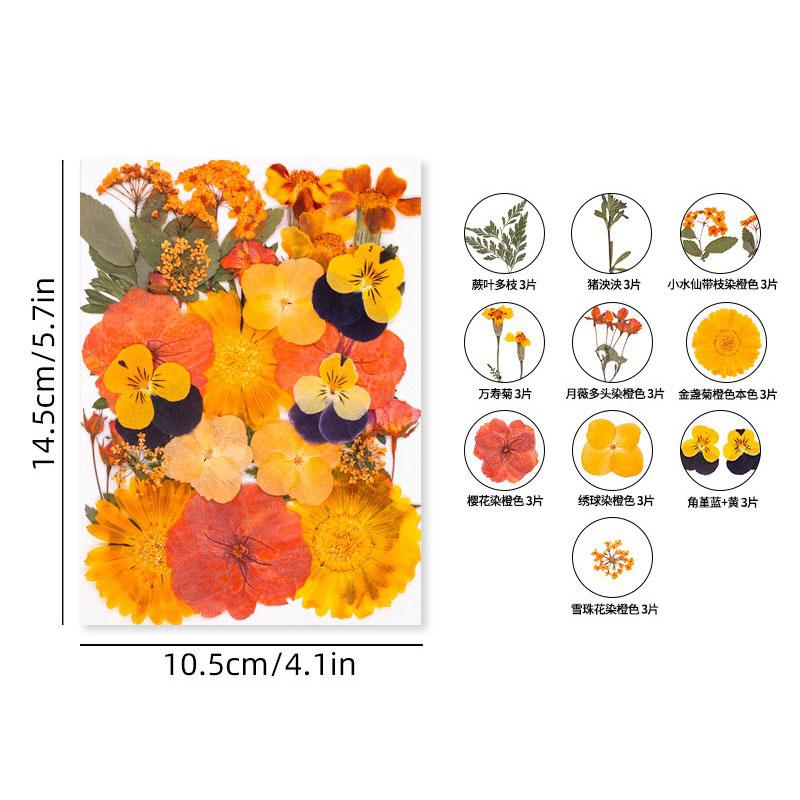 Halloween Theme Pressed Flower Kit for Resin Art Natural Real Pressed Orange Flower Leaves for DIY Epoxy Jewelry Bookmark