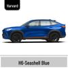 Haval H6 Cool Dog Touch-Up Pen, Black Spot & Ruixue White Scratch Repair Paint