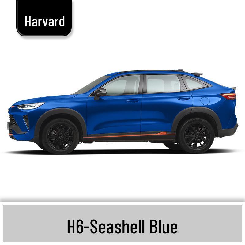 Haval H6 Cool Dog Touch-Up Pen, Black Spot & Ruixue White Scratch Repair Paint