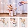 OR OR TU Walking Talking Toy Cat with Remote Control Leash, Plush Pet Electronic Interactive Toys for Kids, Wag Tail, Singing, Pretend Dress Up