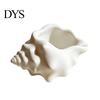 Small Earring Holder for Vanity 3D Printed Conch Shell Storage Dish, Seashell Trinket Tray Jewelry Durable Office Keys, Ocean Style Home Decor