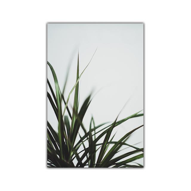 Yeşil Yaprak Bitki Manzara Resimleri Saksı Bitkileri Çiçek Sabah Güneş Tuval Sanat Baskılar Posteri Duvar Resimleri Odası Dekor Için