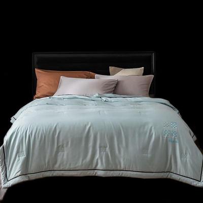 CHANSI 3M Quick-Dry Summer Air-Conditioning Quilt