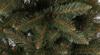 Artificial Christmas Tree, Like A Real One, Caucasian Spruce, 180 , Polish Production