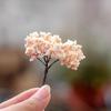 Moss Garden Embellishments Model Trees Diy Micro Landscape Ornaments Decorative Miniature Blossom Trees Artificial for Crafts