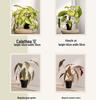 Artificial Green Plants for Indoor Decor – Potted Ornaments for Living Room or Coffee Table