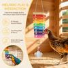 Non-Toxic Pecking Xylophone Wood Bird Xylophone Fun Chicken Wooden Toy  African Macaws