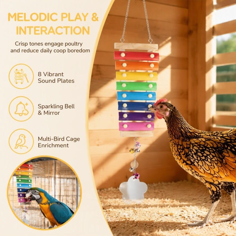 Non-Toxic Pecking Xylophone Wood Bird Xylophone Fun Chicken Wooden Toy  African Macaws