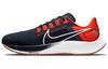 Nike Air Zoom Pegasus 38 Chicago Bears DJ0811-400