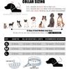 Silver Dog Choker Collar,2 Rows Stainless Steel Dog Chain Cuban Link Metal Martingale Collar Heavy Duty Training Choke Collar for Small Medium Large