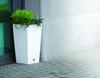 RATO DRTS325 tall flowerpot with insert | Umbra