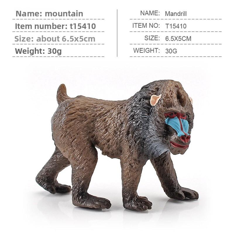 Squirrel Animal Model Set With Pvc Realistic Figures For Educational Play And Collecting Enthusiasts