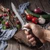 Forged Butcher Knife Stainless Steel Meat Kitchen Knife Cleaver Boning Knife Slicing Kitchen with Sheath