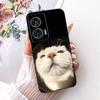 For Motorola Edge 50 Fusion Case XT2429-1 Stylish Butterfly Painted Cover Soft TPU Phone Case For Motorola G96 G 96 MotoG96 Bags