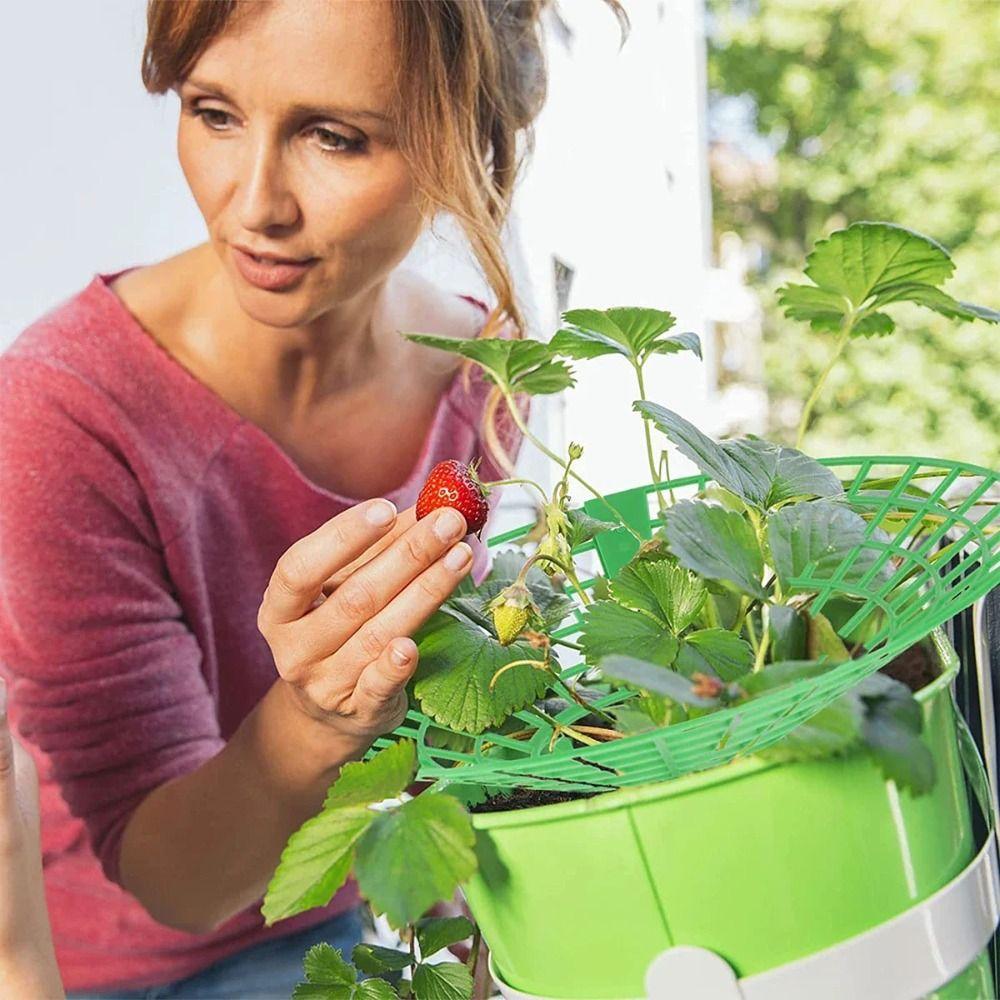 1/3 Stück Runde Pflanzenuntersetzer Ständer zum Schutz von Erdbeeren vor Schimmel, Fäulnis und Schmutz