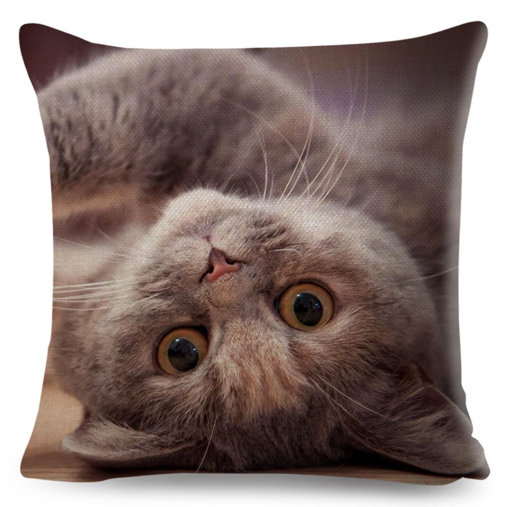 Housse de coussin British Shorthair bleu russe, taie d'oreiller en Polyester, décoration de chat mignon, Animal de compagnie, pour canapé, maison, voiture