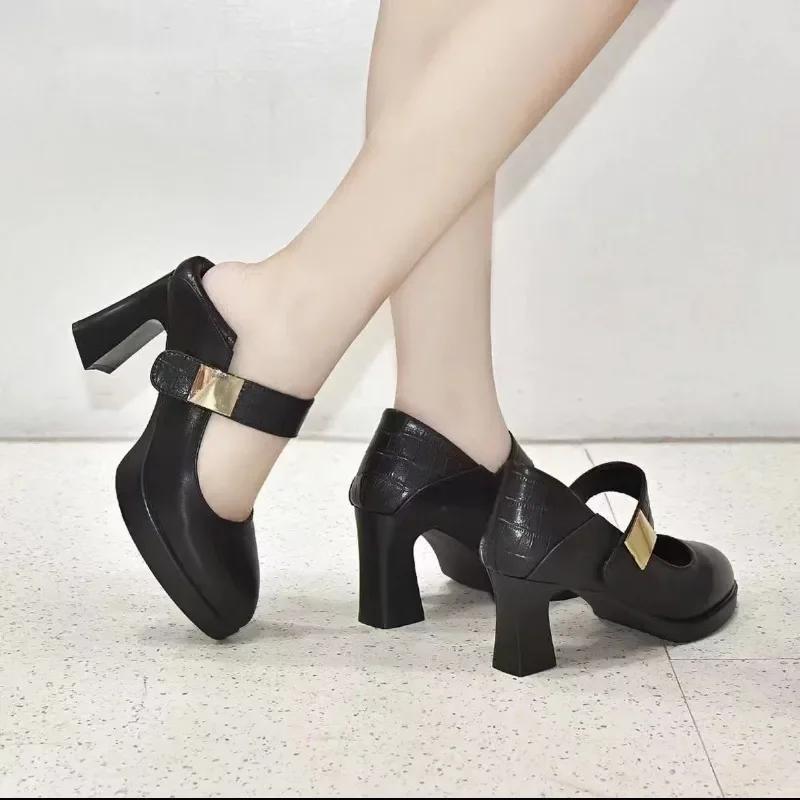 Fashion High heels women's shoes 2024 spring new British style pointed waterproof platform thick heel buckle women's fashion shoe list