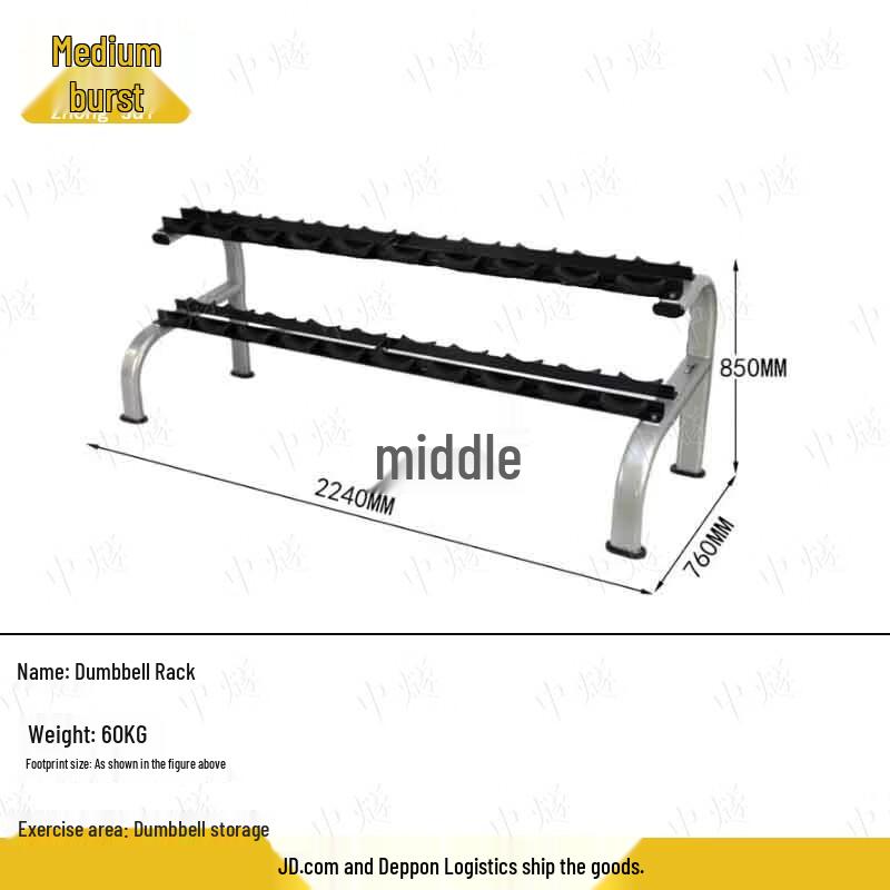 Double-Layer 10-Pair Dumbbell Storage Rack